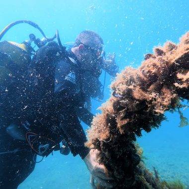 Karadeniz'in derinliklerindeki 2 bin 500 yıllık miras ziyarete açılıyor