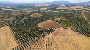 Anadolu’daki esrarengiz piramitler: Manisa’daki Bintepeler Tümülüsleri tarihe ışık tutuyor