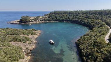 Sinop'un uçsuz bucaksız ormanları, tertemiz havasıyla doğa tutkunlarını cezbediyor