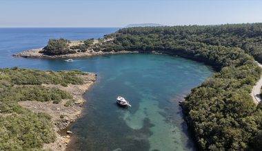 Sinop'un uçsuz bucaksız ormanları, tertemiz havasıyla doğa tutkunlarını cezbediyor