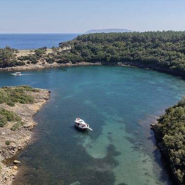 Sinop'un uçsuz bucaksız ormanları, tertemiz havasıyla doğa tutkunlarını cezbediyor