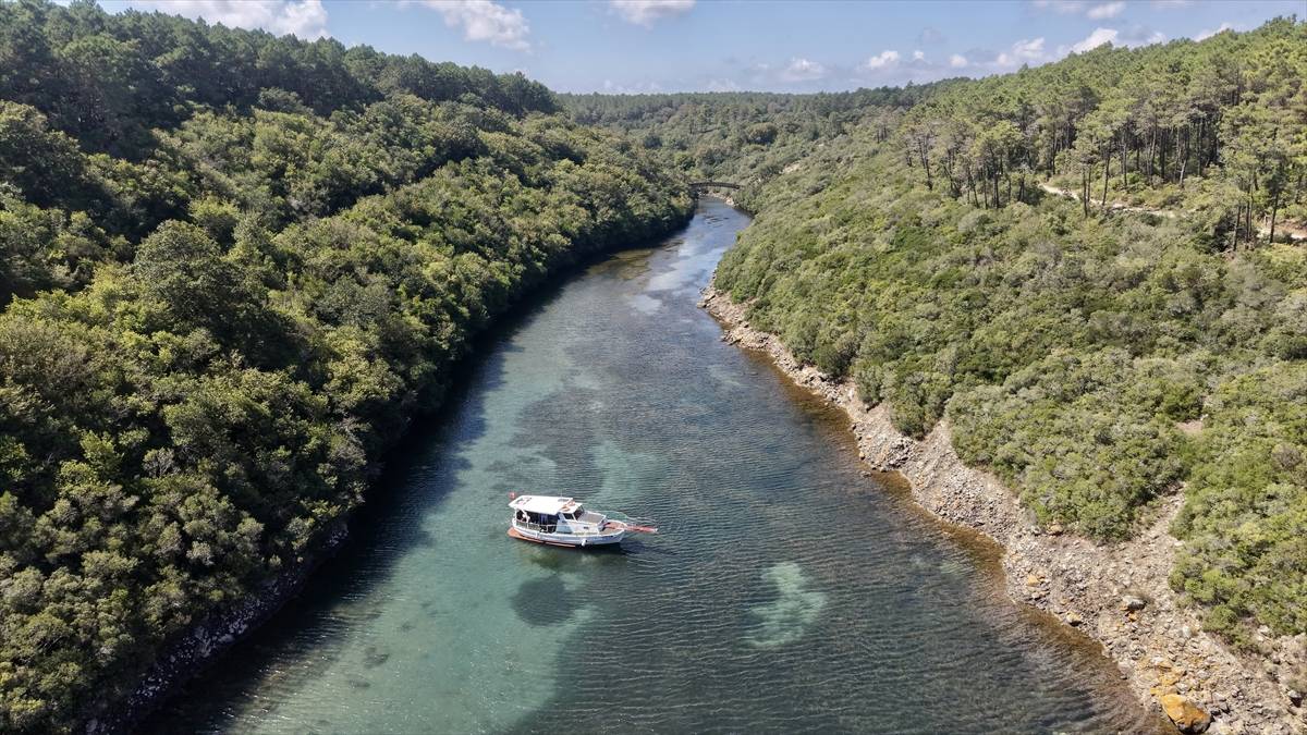 Sinop'un uçsuz bucaksız ormanları, tertemiz havasıyla doğa tutkunlarını cezbediyor