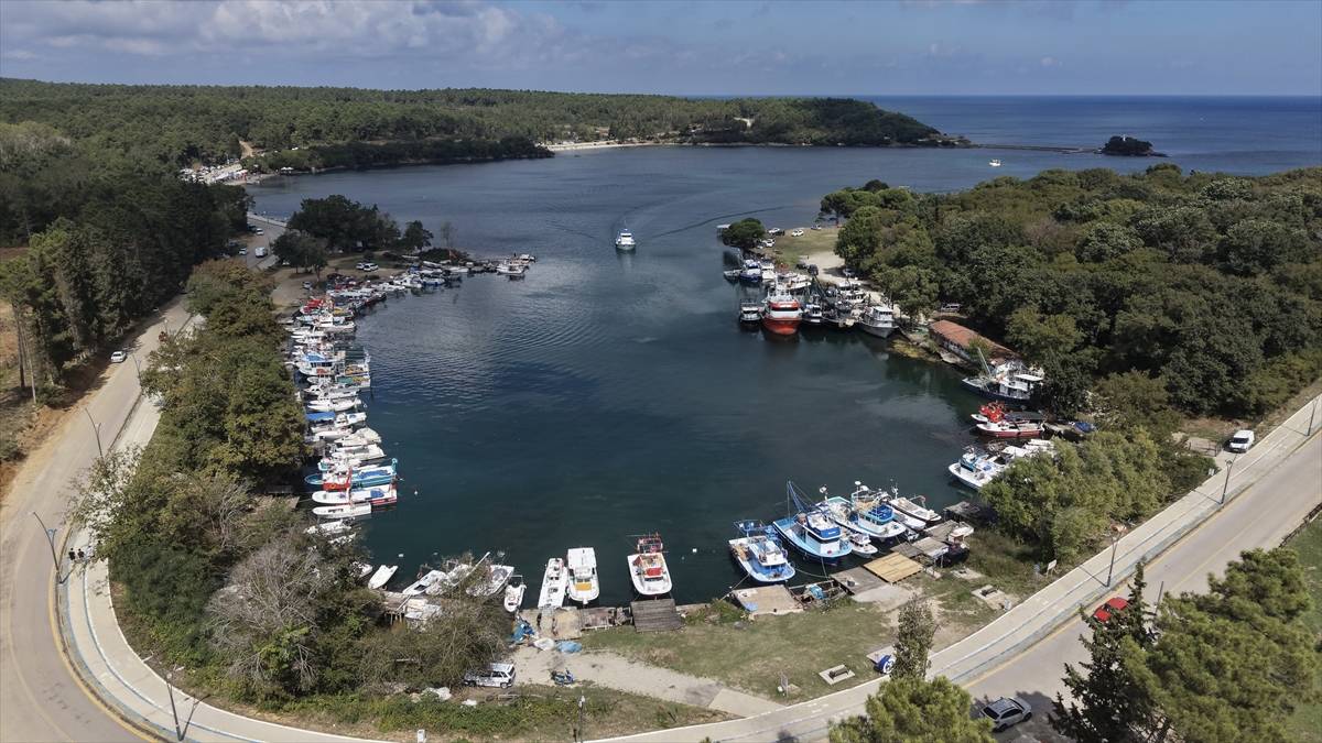 Sinop'un uçsuz bucaksız ormanları, tertemiz havasıyla doğa tutkunlarını cezbediyor