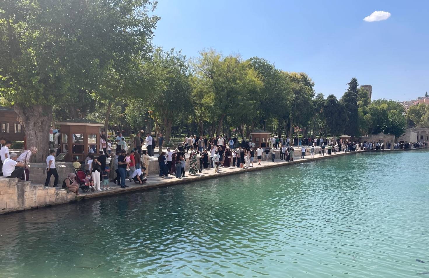 Şanlıurfa'nın simgesi Balıklıgöl, hafta sonunda ziyaretçilerin ilk durağı oldu