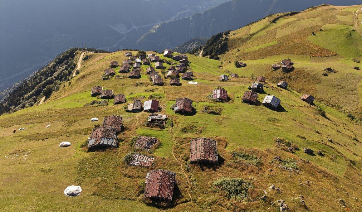 Trabzon yaylalarında sonbahar zamanı: Beklenen renkler kendini gösterdi