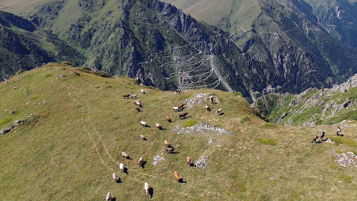 Ekoturizmde yeni gözde: Doğa tutkunları Soğanlı Dağları'na akın ediyor
