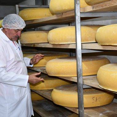 Peynirlerin Kralı olarak biliniyor: Kars'ta üretilen gravyer peyniri dünyaya ulaşıyor