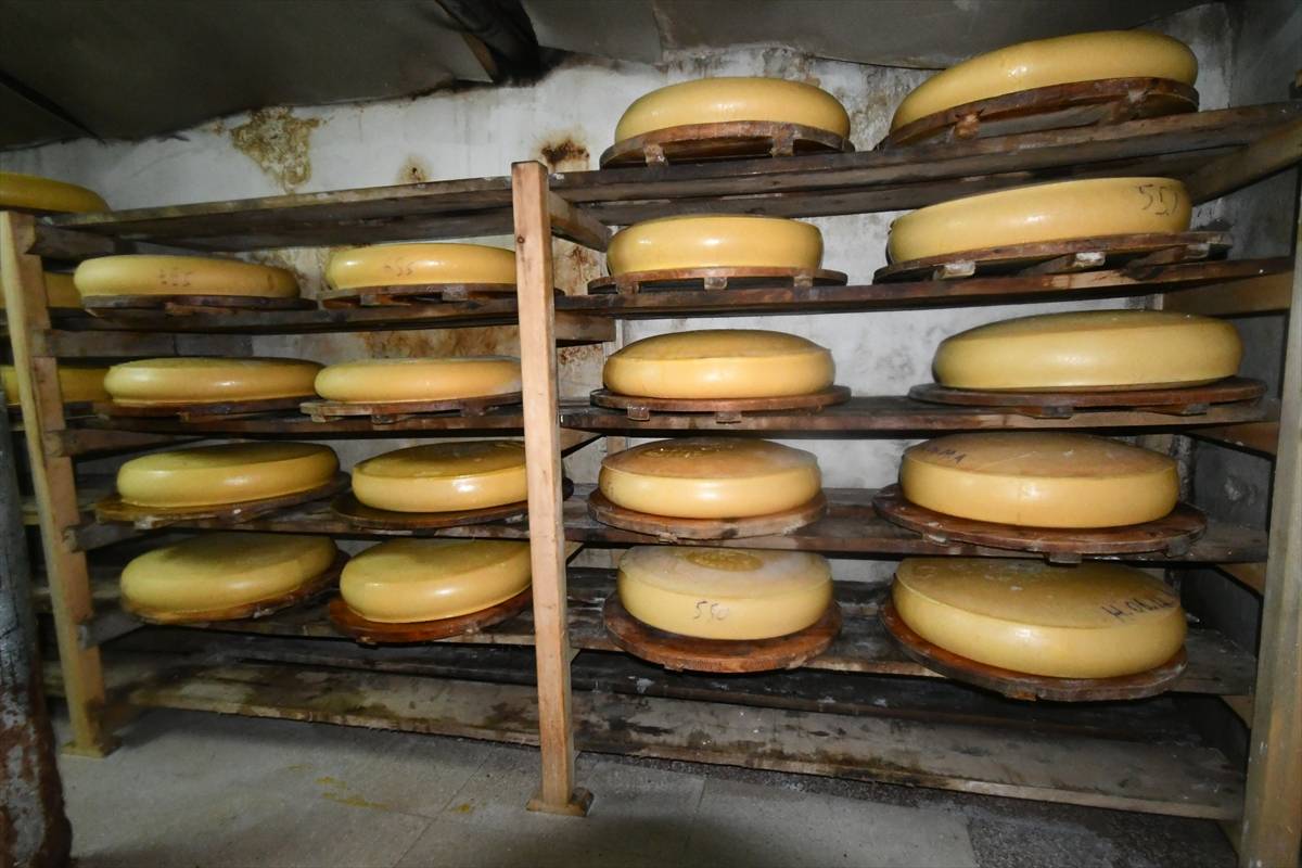 Peynirlerin Kralı olarak biliniyor: Kars'ta üretilen gravyer peyniri dünyaya ulaşıyor