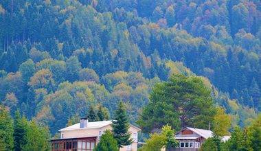 Düzce'de sonbahar zamanı: Güz renkleri doğayı boyadı