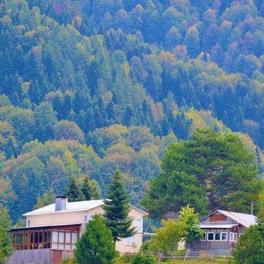 Düzce'de sonbahar zamanı: Güz renkleri doğayı boyadı