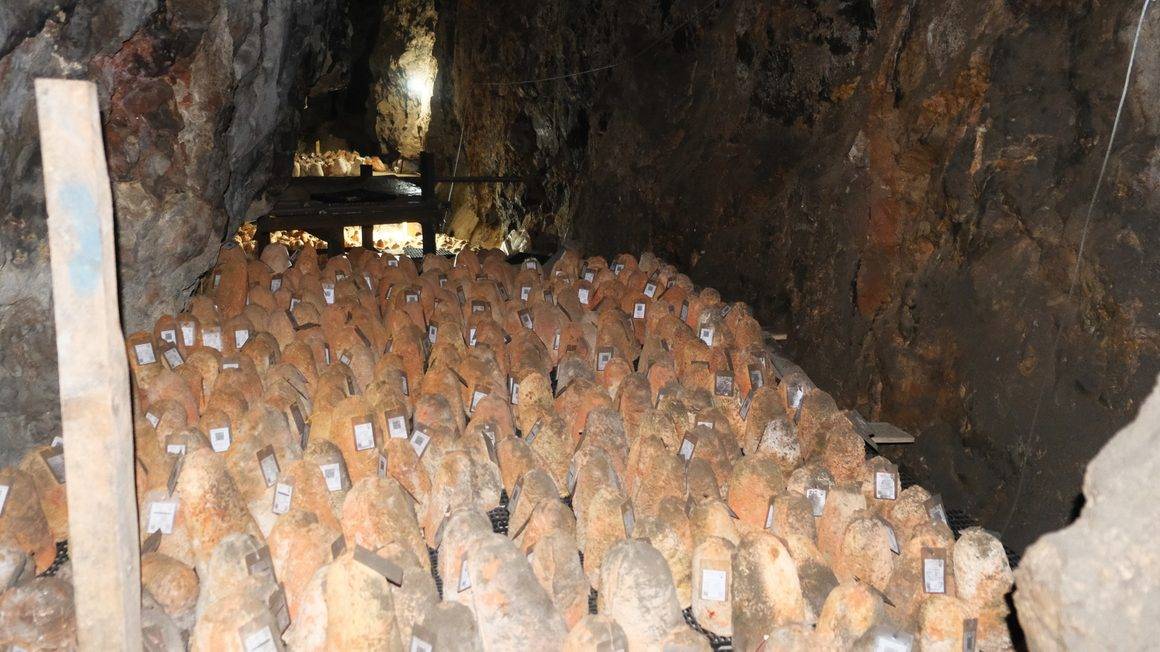 Mağaradan çıkan kırmızı altın: Karaman'ın eşsiz lezzetinin fiyatı 1700 lirayı buldu