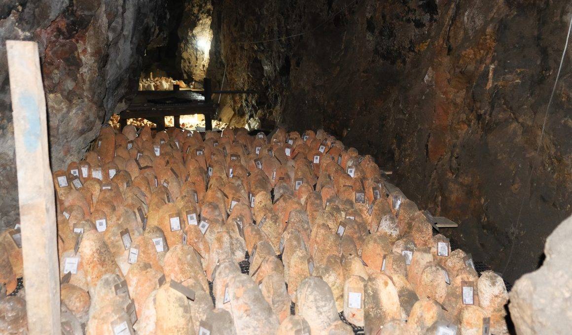 Mağaradan çıkan kırmızı altın: Karaman'ın eşsiz lezzetinin fiyatı 1700 lirayı buldu