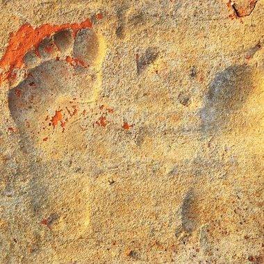 Muğla'da ilginç keşif: Üç çocuğun izleri 1900 yıl sonra bulundu