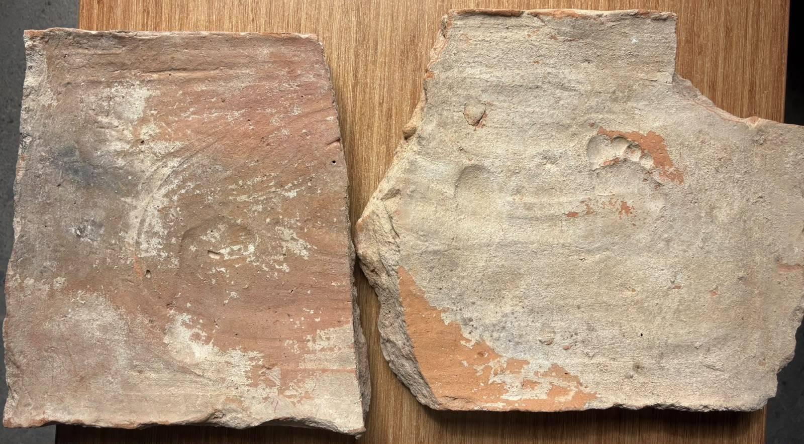 Muğla'da ilginç keşif: Üç çocuğun izleri 1900 yıl sonra bulundu