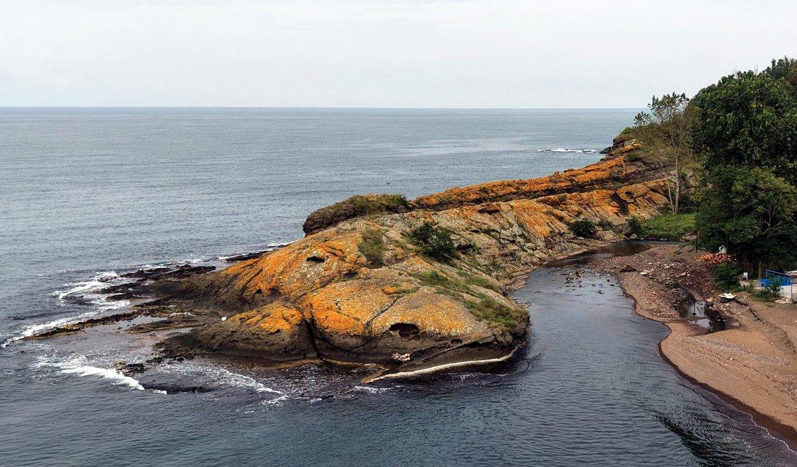 Karadeniz kıyısında bir doğa harikası: Ordu'daki Timsah Adası ilgilerin odağında