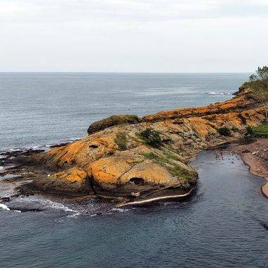 Karadeniz kıyısında bir doğa harikası: Ordu'daki Timsah Adası ilgilerin odağında