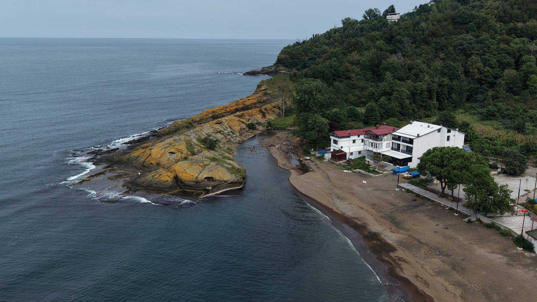 Karadeniz kıyısında bir doğa harikası: Ordu'daki Timsah Adası ilgilerin odağında