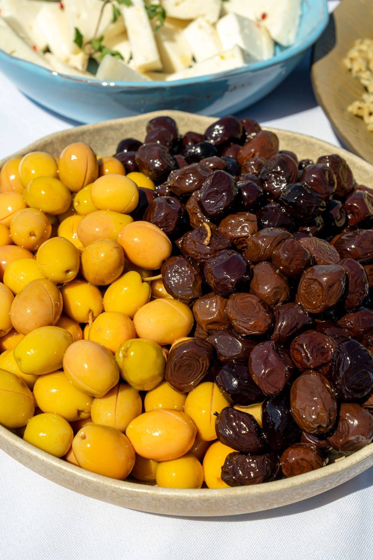 Çinli turistler Çanakkale'nin zeytin ve zeytinyağı kültürüne hayran kaldı
