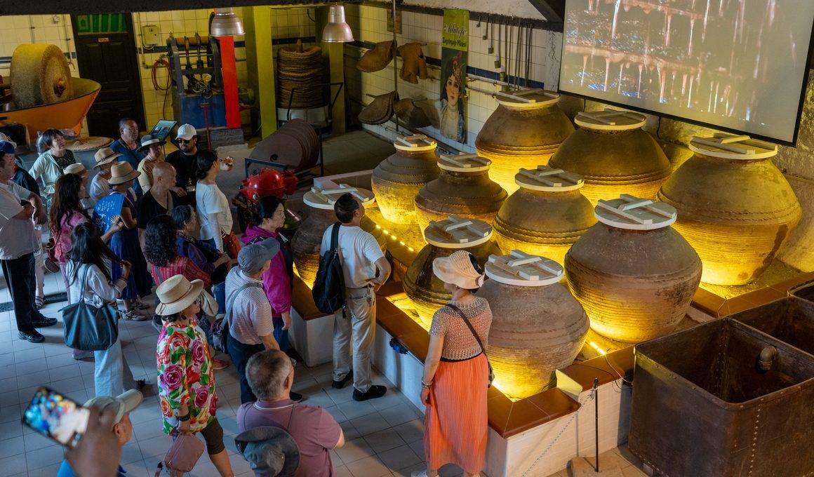 Çinli turistler Çanakkale'nin zeytin ve zeytinyağı kültürüne hayran kaldı
