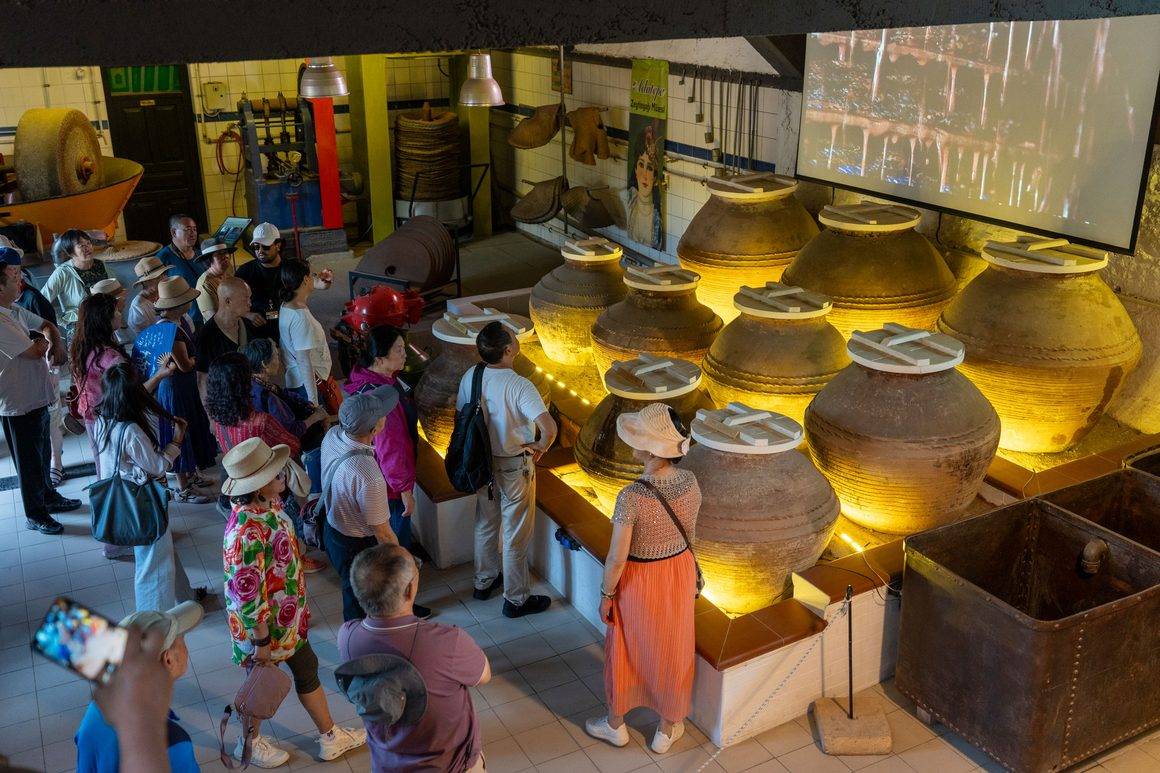 Çinli turistler Çanakkale'nin zeytin ve zeytinyağı kültürüne hayran kaldı