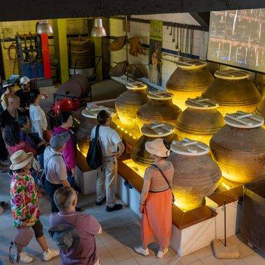 Çinli turistler Çanakkale'nin zeytin ve zeytinyağı kültürüne hayran kaldı