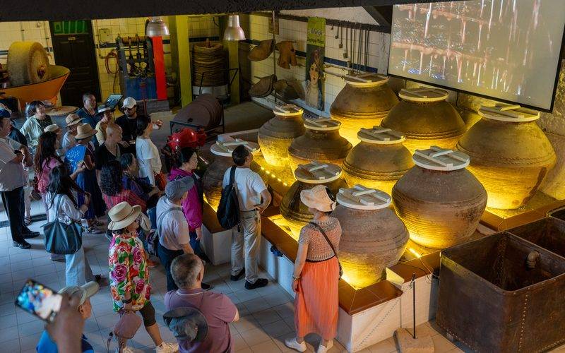 Çinli turistler Çanakkale'nin zeytin ve zeytinyağı kültürüne hayran kaldı
