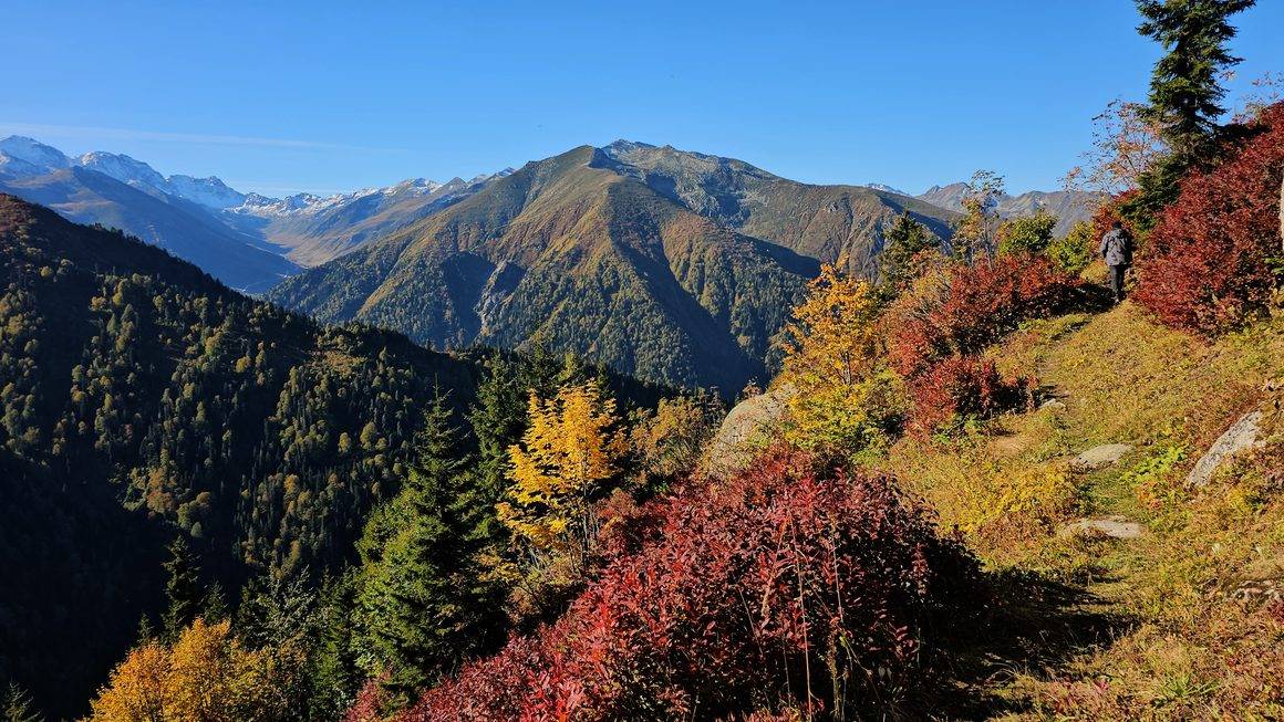Rize'nin ünlü yaylaları sonbahar ile renklendi, doğa tutkunları manzaraya doyamadı