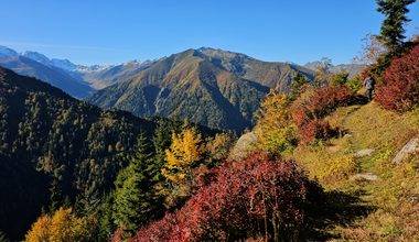 Rize'nin ünlü yaylaları sonbahar ile renklendi, doğa tutkunları manzaraya doyamadı