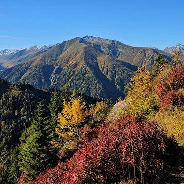 Rize'nin ünlü yaylaları sonbahar ile renklendi, doğa tutkunları manzaraya doyamadı