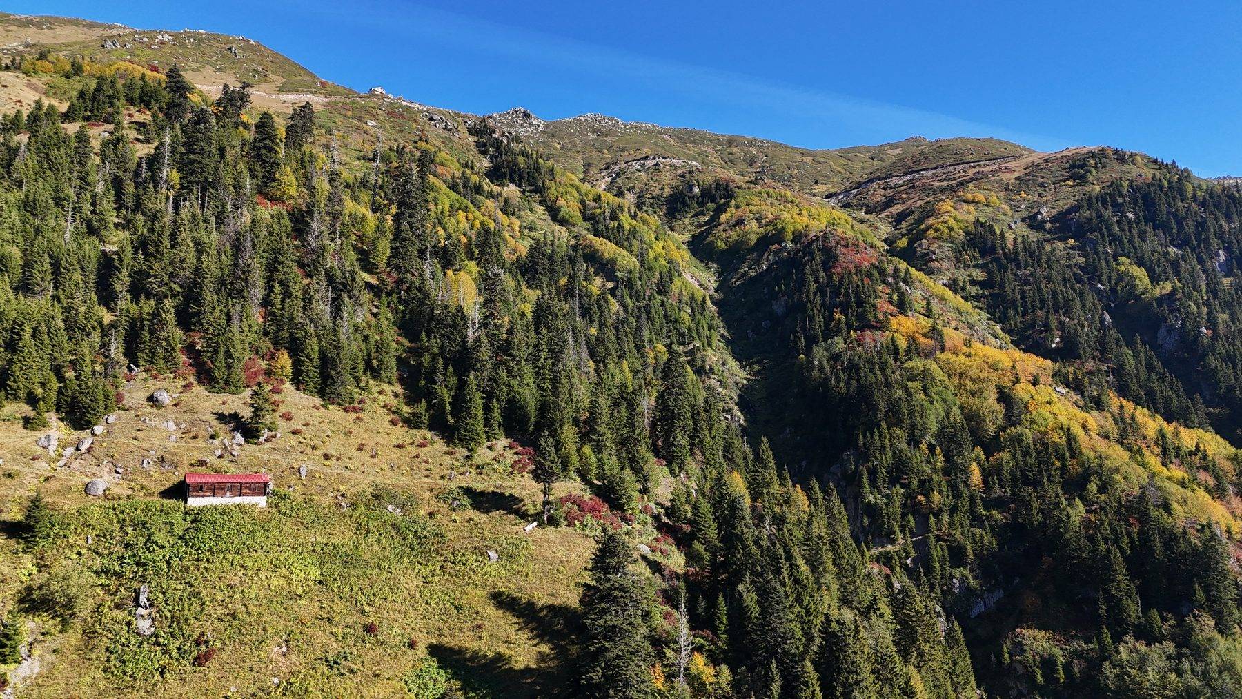Rize'nin ünlü yaylaları sonbahar ile renklendi, doğa tutkunları manzaraya doyamadı