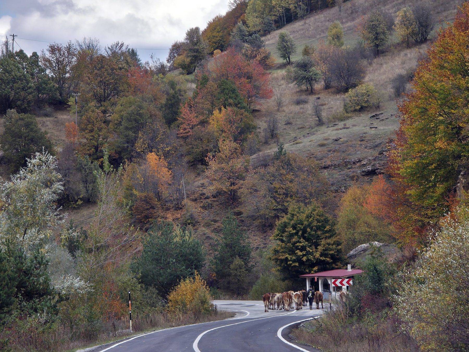 Sivas'ın doğa harikasında renk cümbüşü! Dipsiz Göl ve Şelalesi atmosferiyle etkiledi
