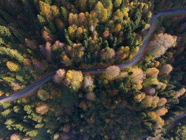 Fotoğrafçılar akın etti! Zigana Dağı Geçidi ve Limni Gölü Tabiat Parkı yolunda görsel şölen