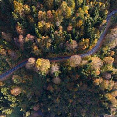 Fotoğrafçılar akın etti! Zigana Dağı Geçidi ve Limni Gölü Tabiat Parkı yolunda görsel şölen