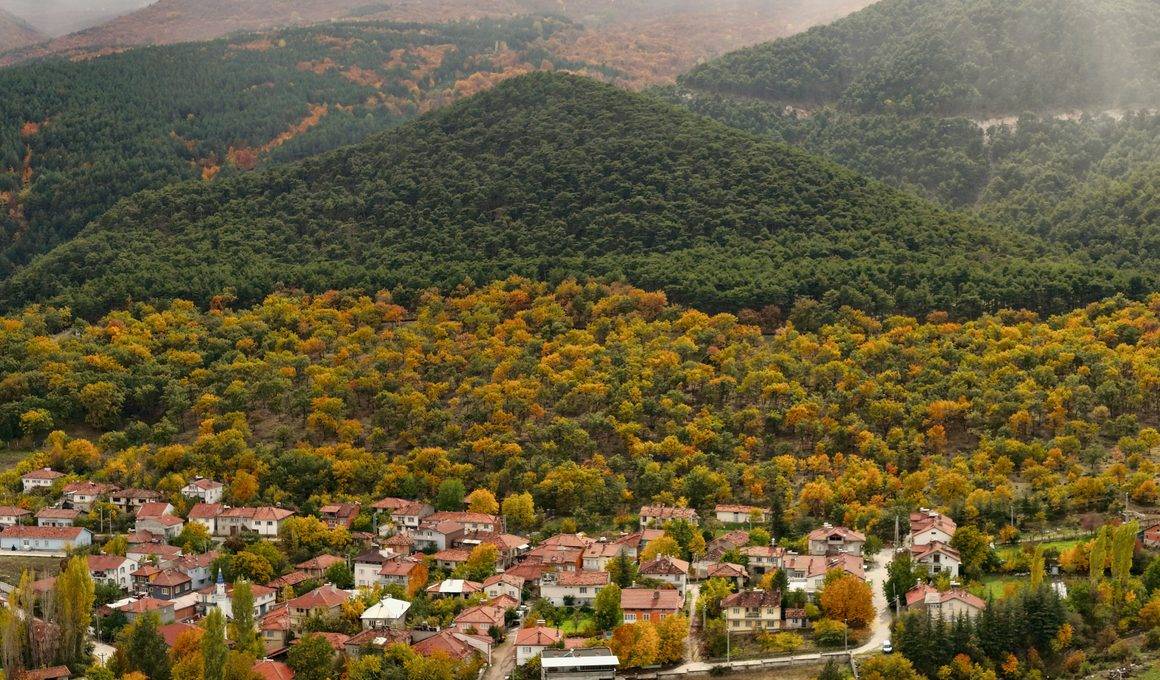 Yellice Dağı'nda güz vakti: Kütahya'nın yeşil ormanları sonbahar renklerine kavuştu