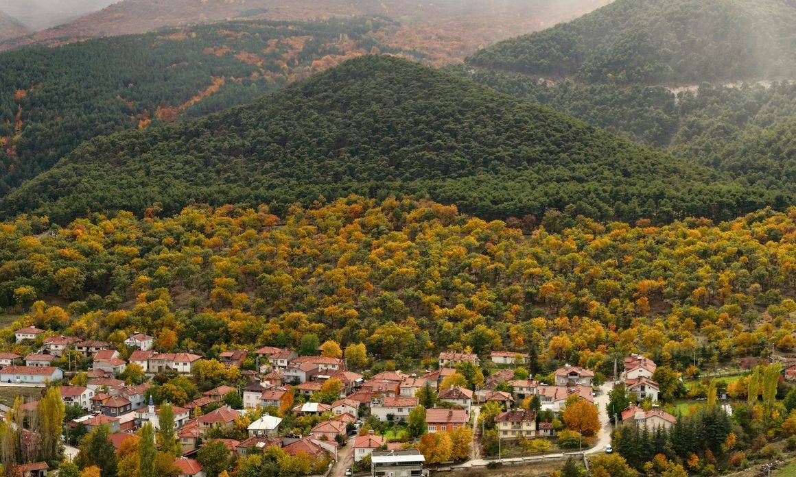 Yellice Dağı'nda güz vakti: Kütahya'nın yeşil ormanları sonbahar renklerine kavuştu