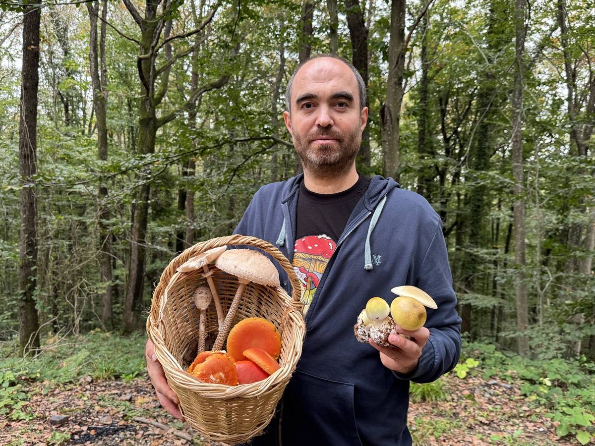 Belgrad Ormanı'nın derinliklerine akın başladı: Önce sepetler, sonra karınlar doluyor