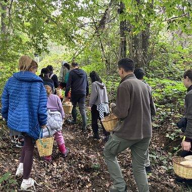 Belgrad Ormanı'nın derinliklerine akın başladı: Önce sepetler, sonra karınlar doluyor