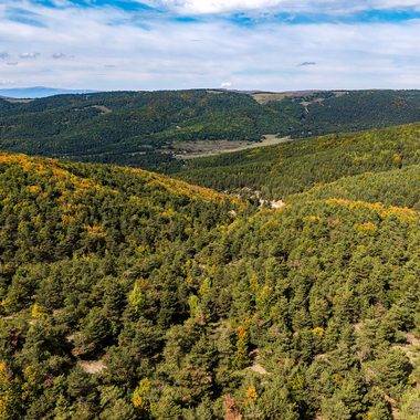 Tokat'ta sonbahar vakti: Topçam Yaylası sarı ve turuncuyla kaplandı