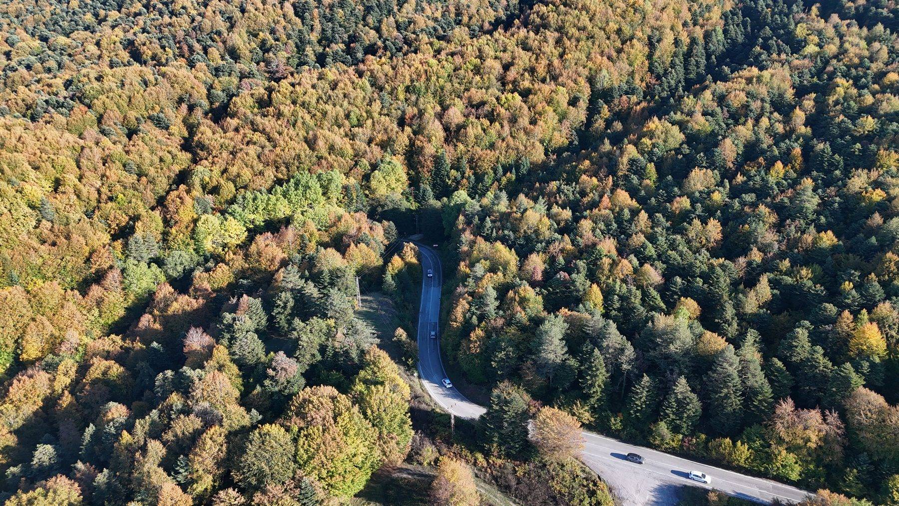 Bolu'da güz zamanı: Gölcük Tabiat Parkı yolu sarı ve kahverengine boyandı