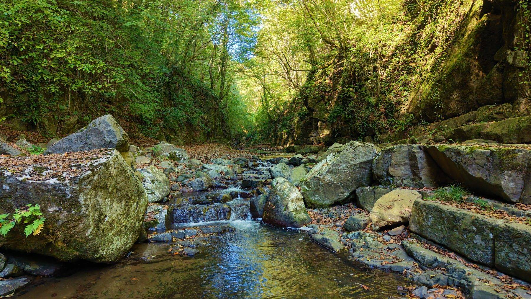 Samsun'un yeşil ormanları arasında saklı kalmış bir güzellik: Kabaceviz Şelalesi